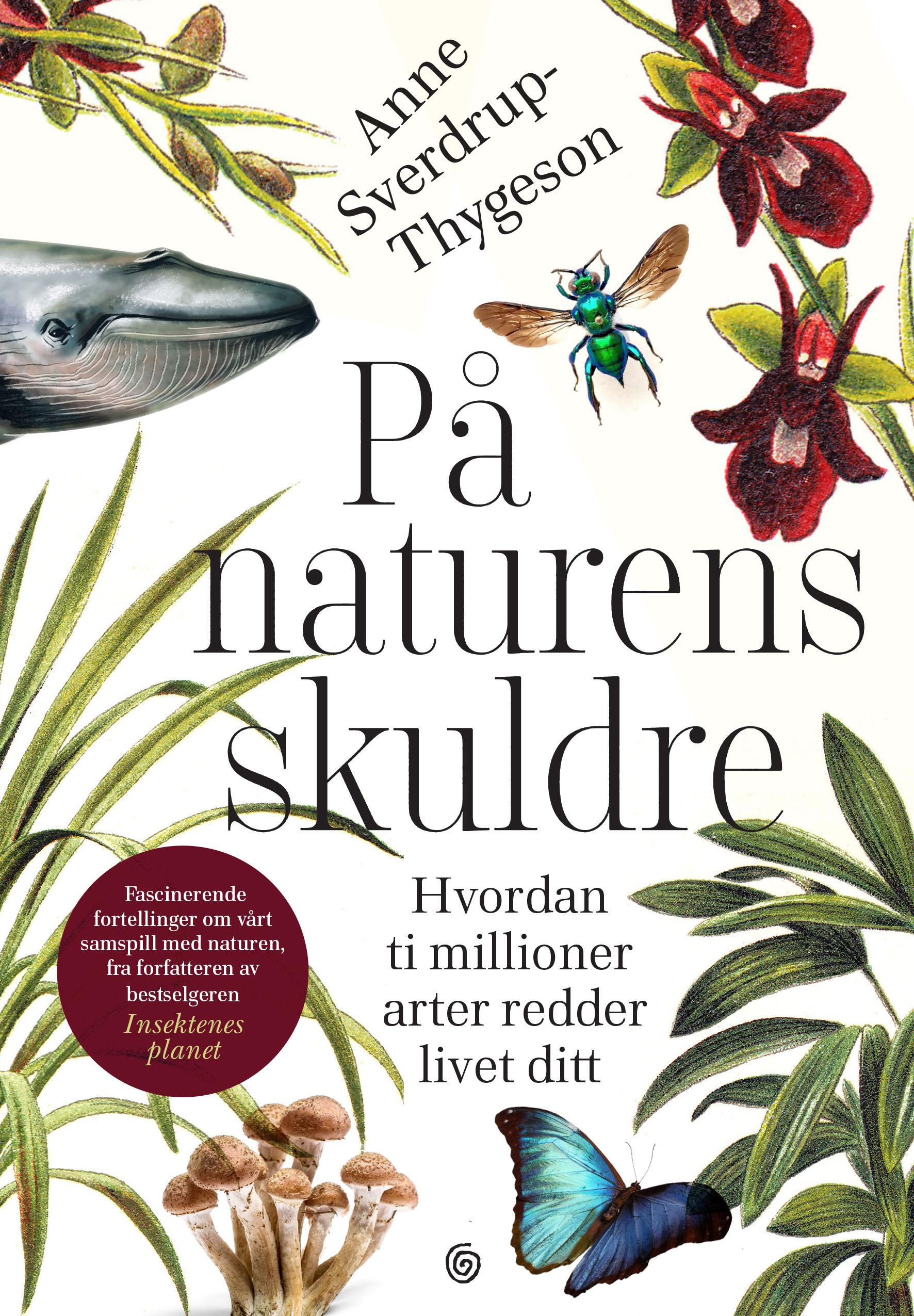 Anne Sverdrup-Thygeson: På naturens skuldre (Paperback, Norwegian language, 2020, Kagge)