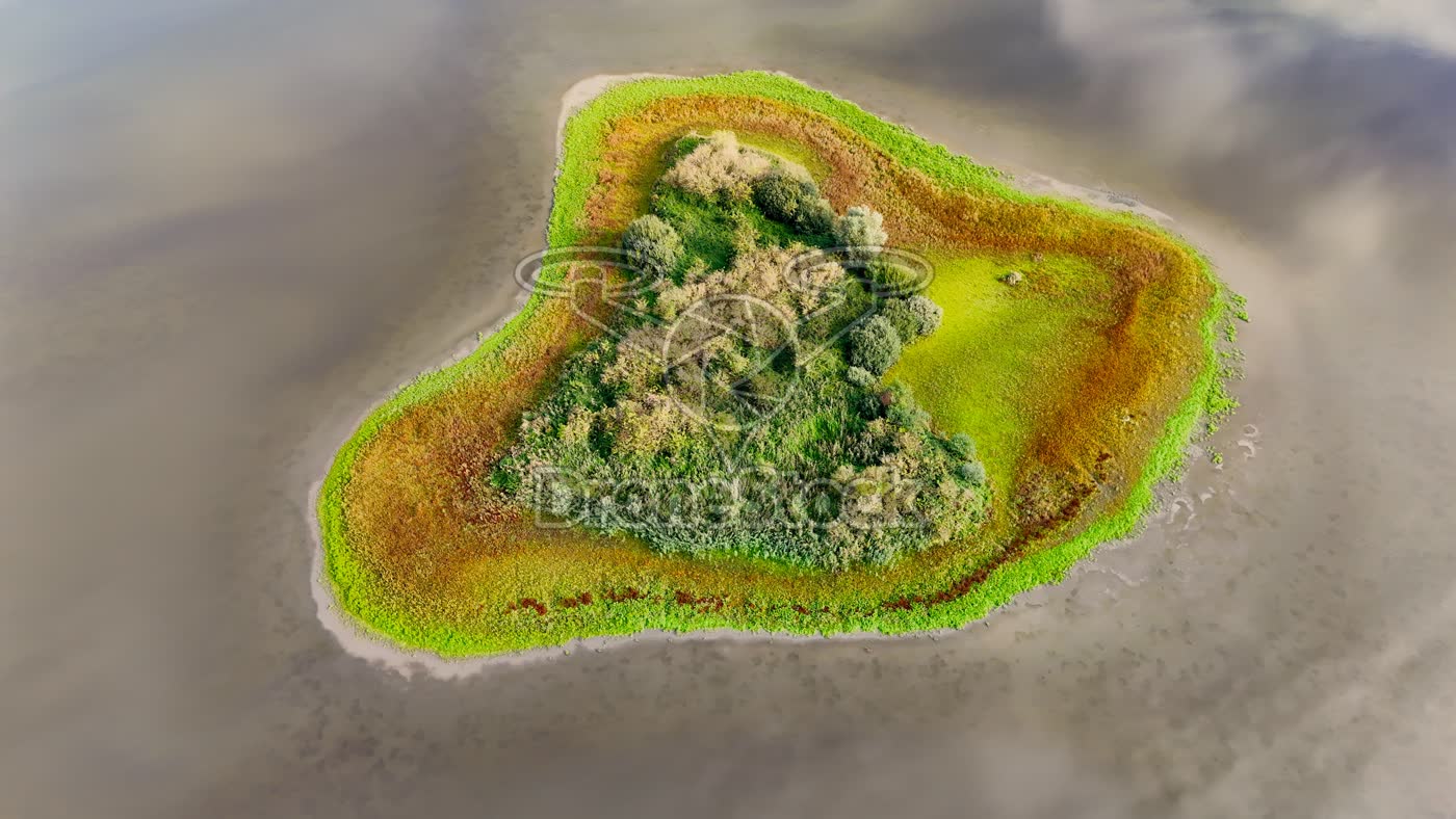 Rieteiland bij Almere