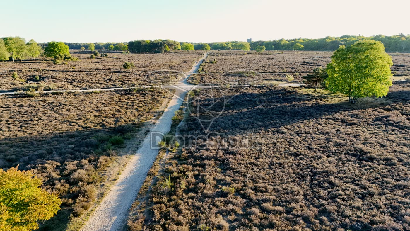Heide bij Laren