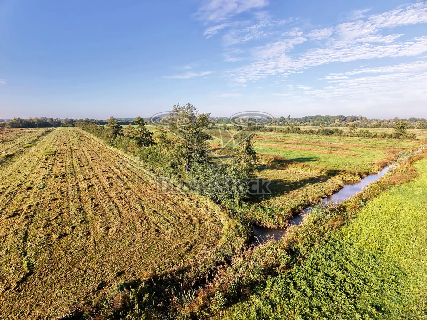 De polder van Haarzuilens 4