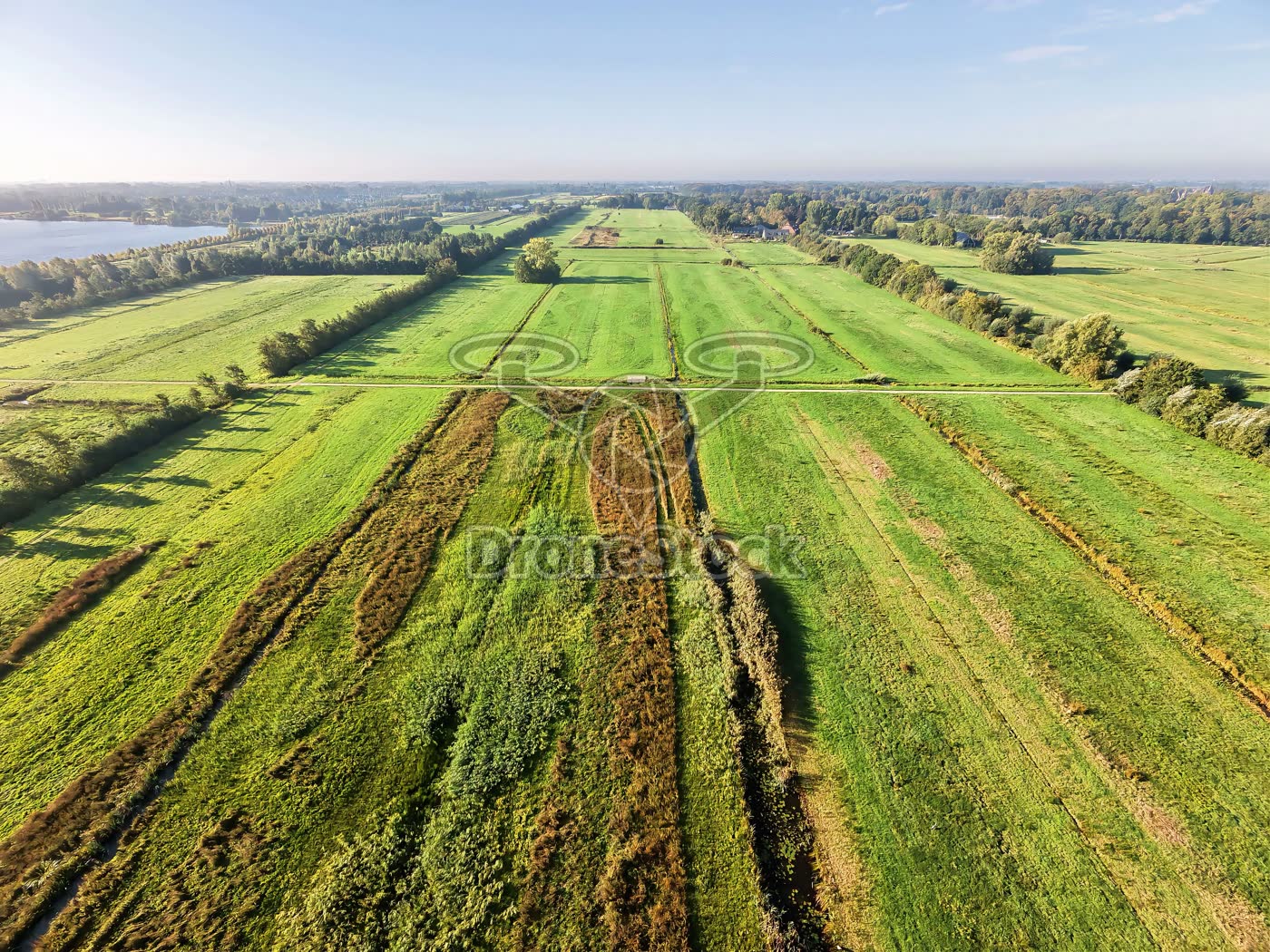 De polder van Haarzuilens 3