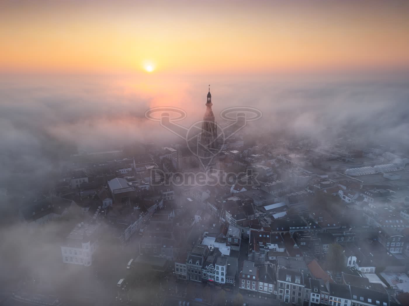 Grote Kerk Breda in mist