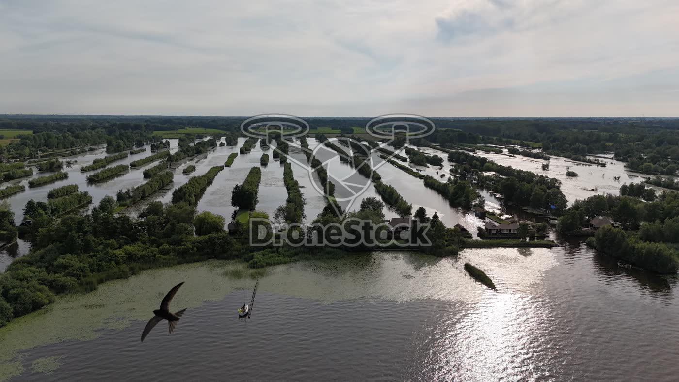 Parallelle rieteilanden in Loosdrechtse Plassen