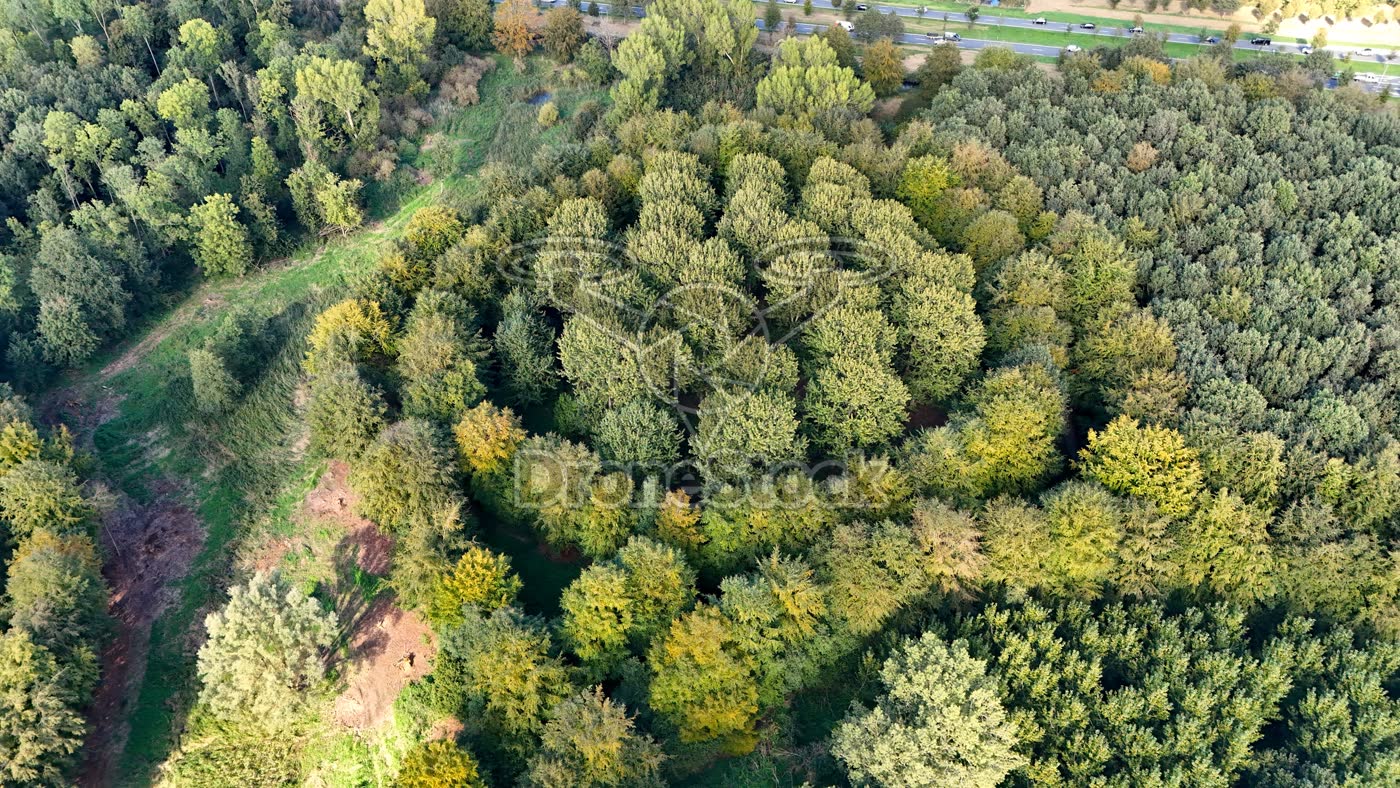 Cirkelbos bij Almere