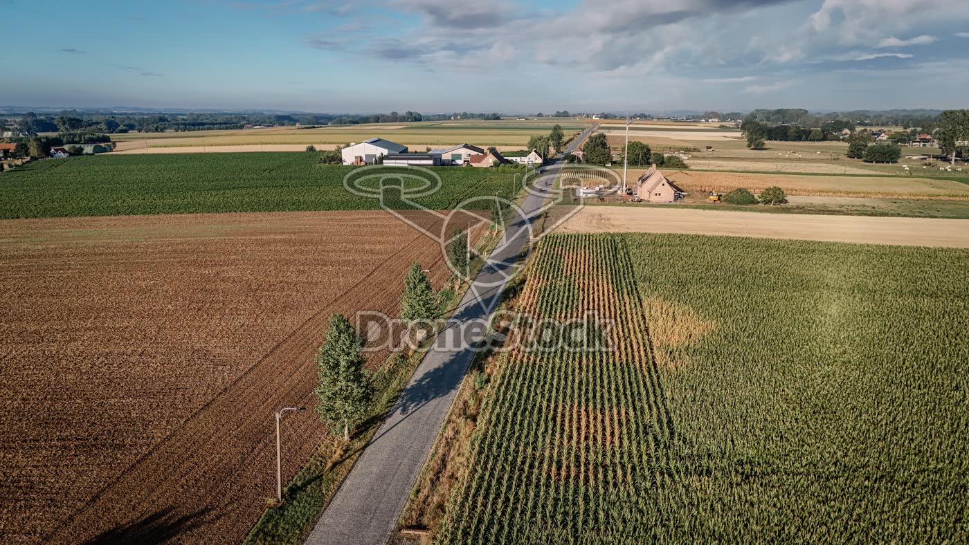 Landweg tussen akkers Scheldewindeke