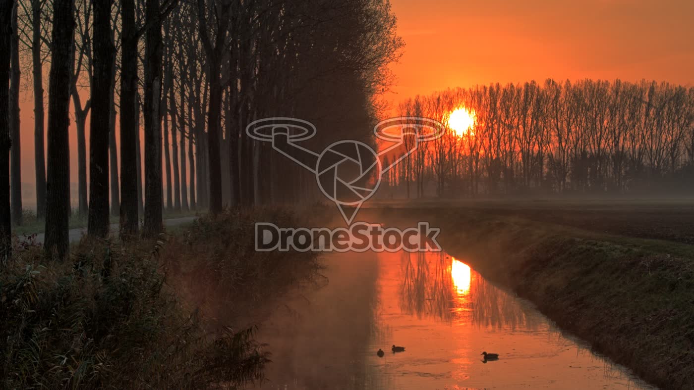 Boomrij langs poldervaart bij Numansdorp