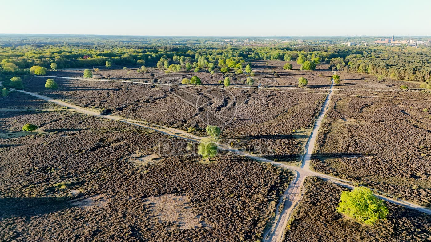 Westerheide bij Hilversum, Noord-Holland