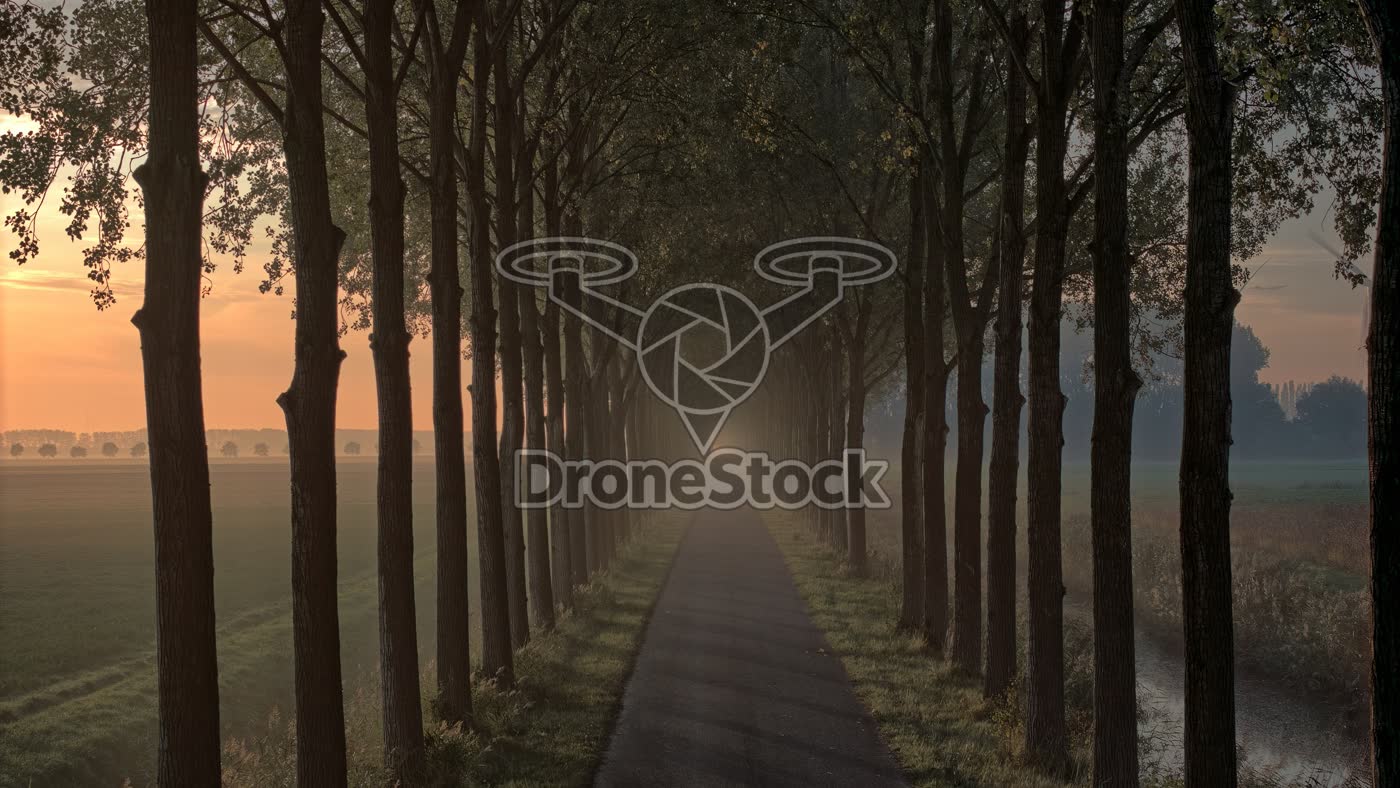 Mist en opkomende zon, Ambachtsheerlijkheid Numansdorp