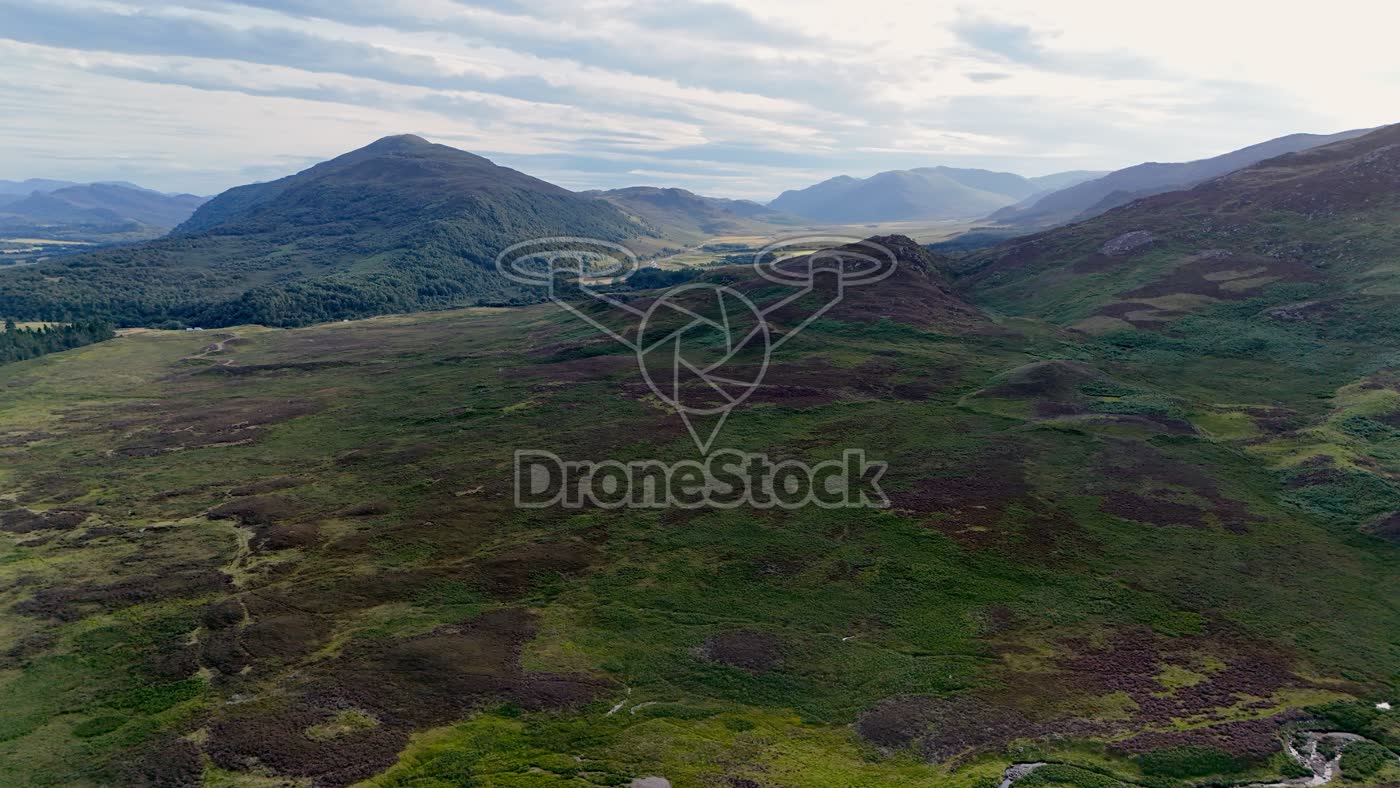 Schotland - Heide bij Newtonmore