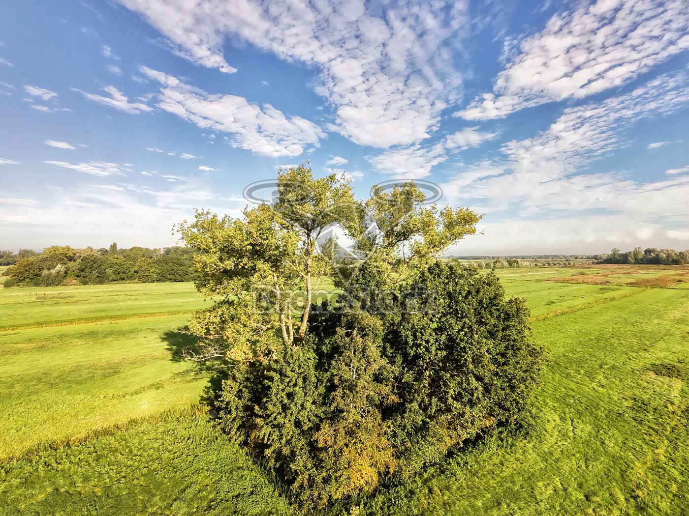 De polder van Haarzuilens 1