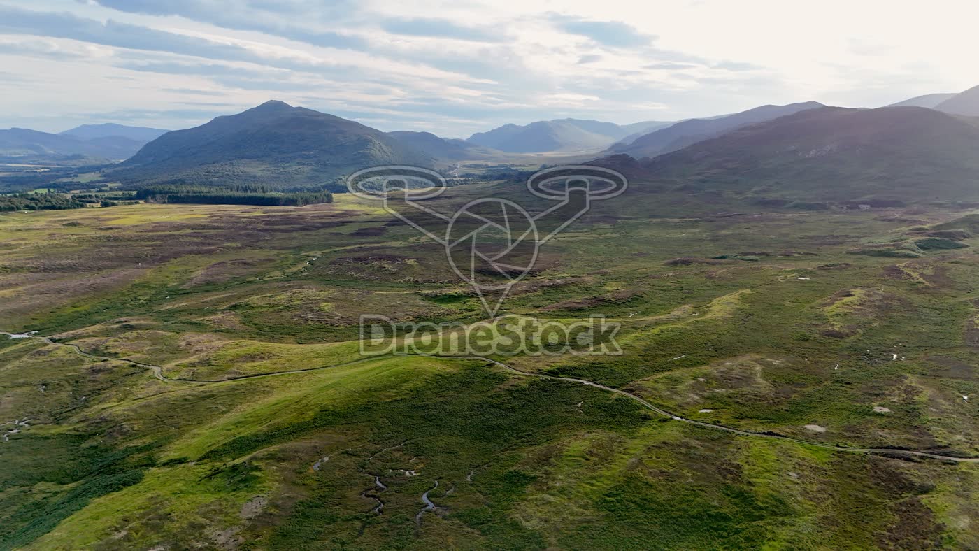 Heidelandschap bij Newtonmore