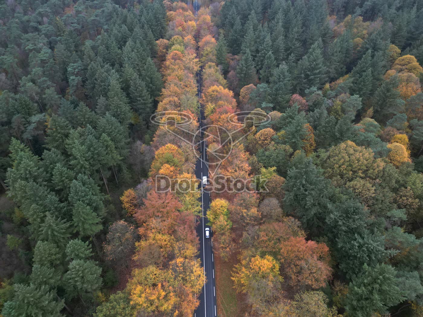 Volop herfst