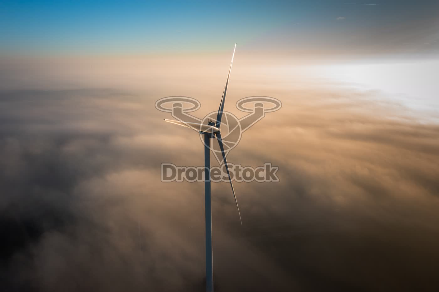 Windmolens Weert 2