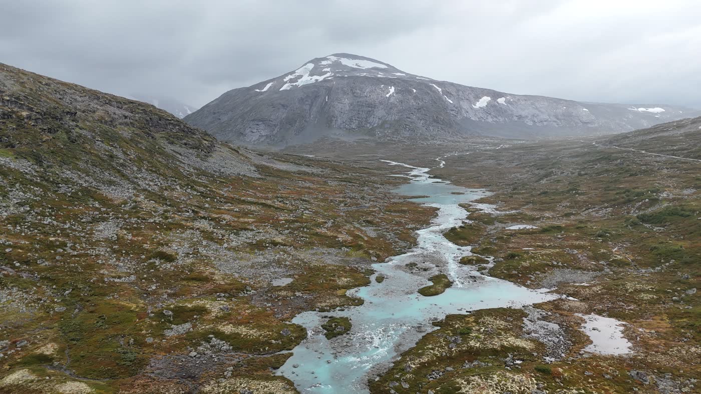 Turkoois bergbeek in Skjåk dal