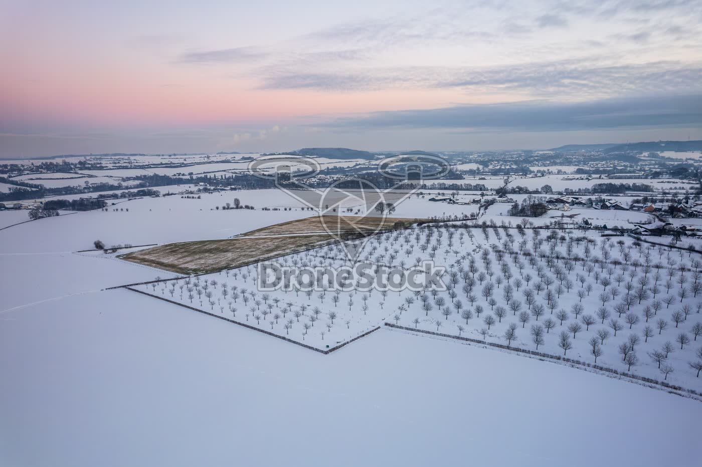 Luchtfoto van besneeuwde hoogstamboomgaard in Zuid-Limburg