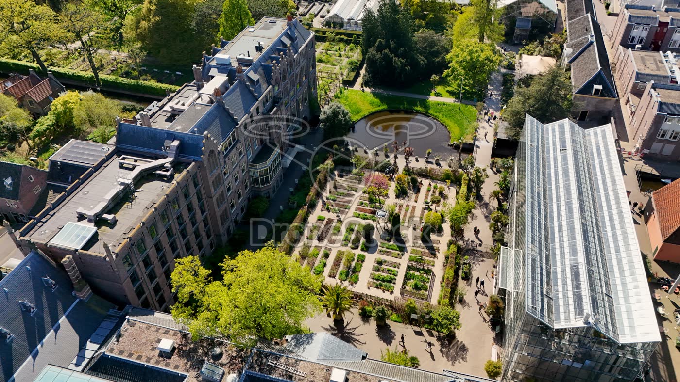Botanische tuin met kas, Leiden