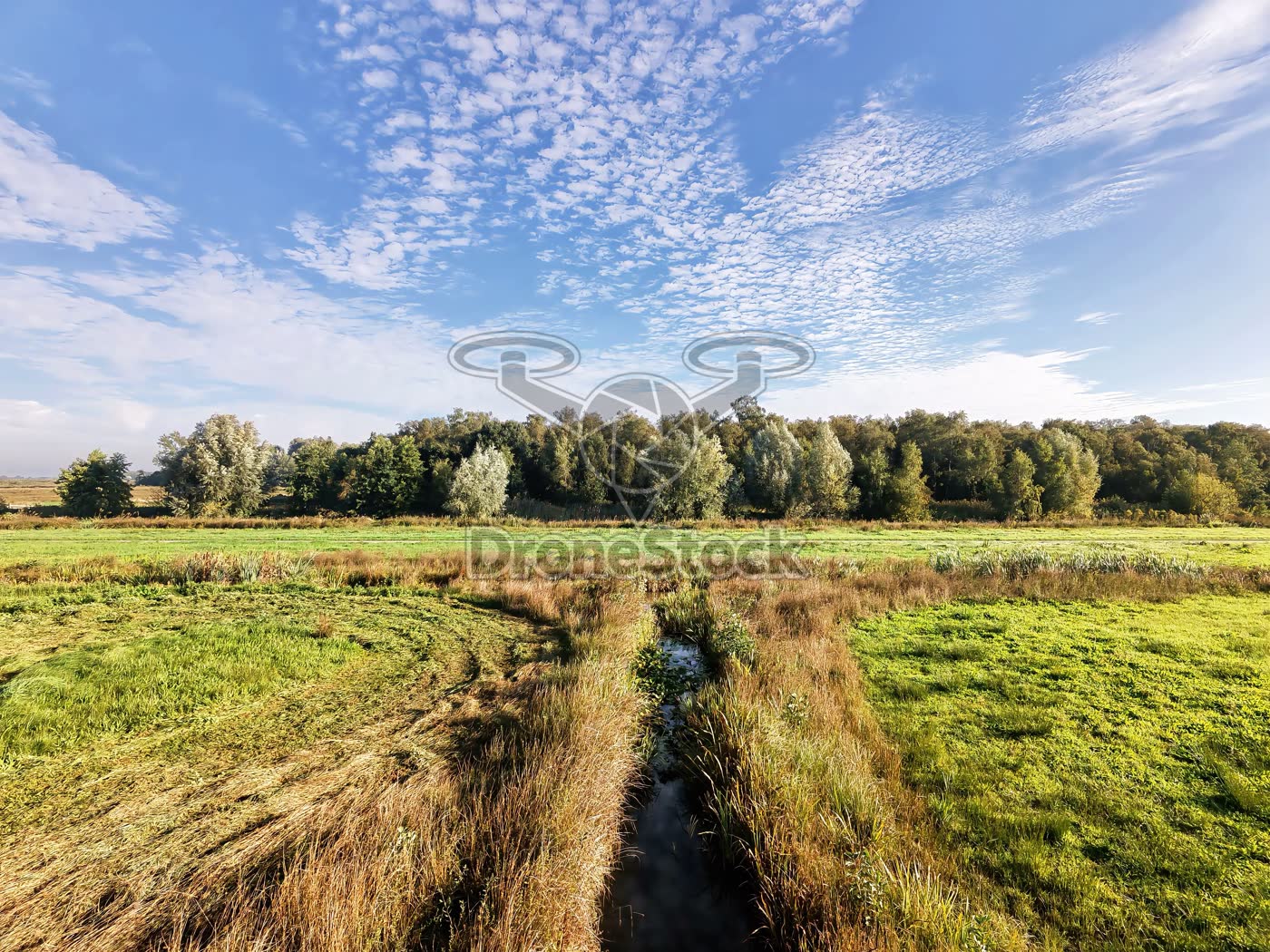 De polder van Haarzuilens 5