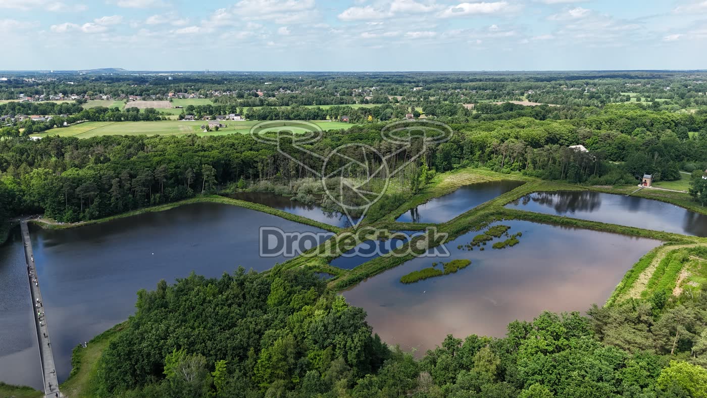 Vennen en bos bij Genk