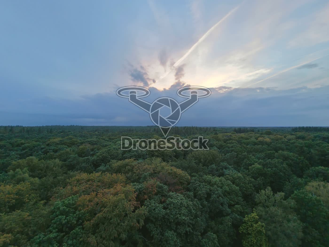 Nationaal Park Veluwezoom avondlucht