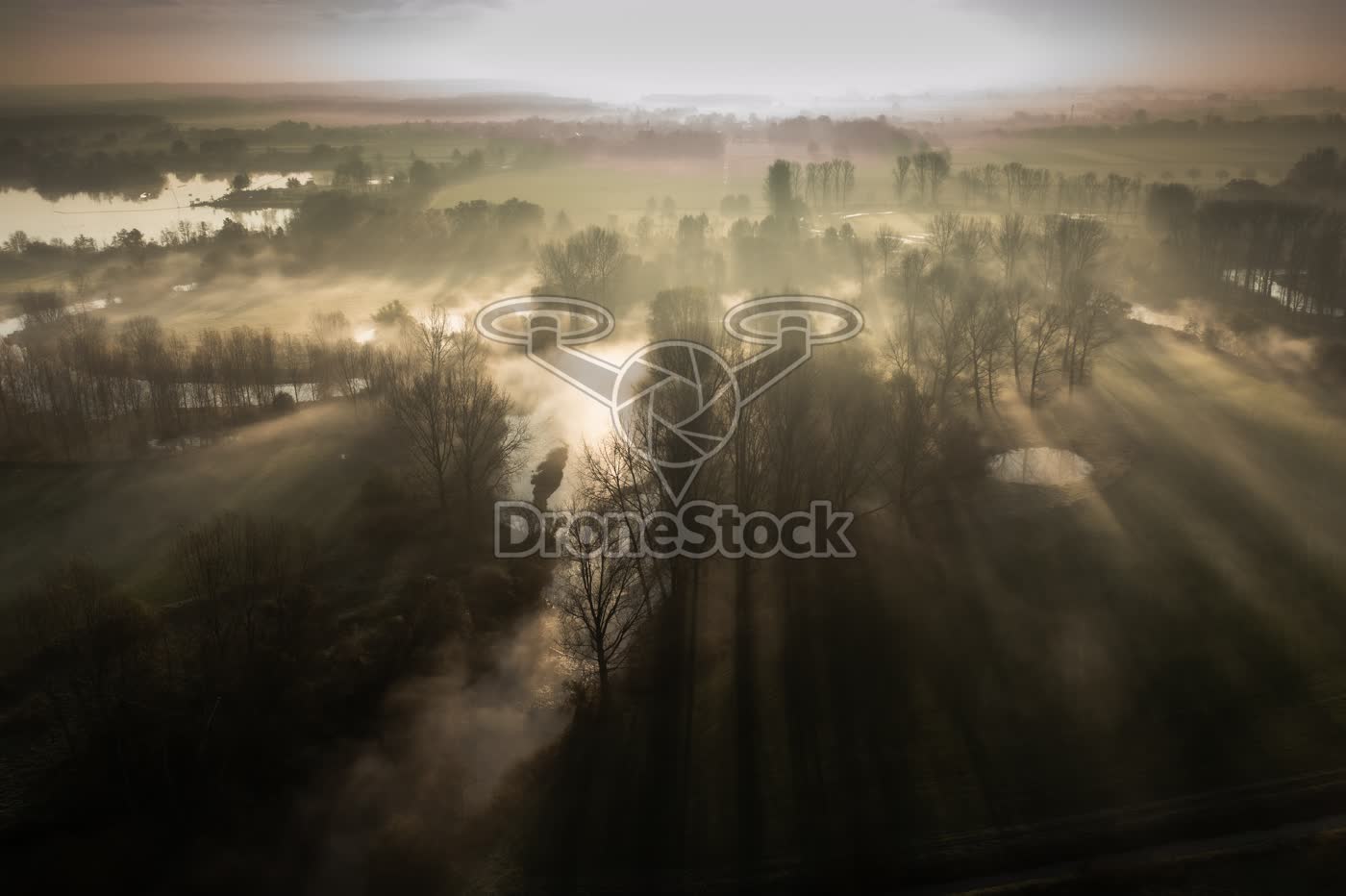 Mistige zonsopkomst boven de Roer 2