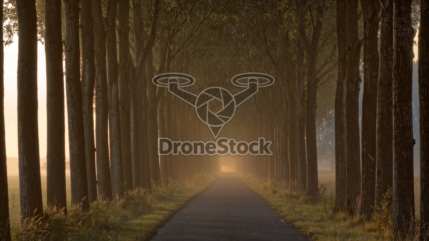 Mist en opkomende zon, Ambachtsheerlijkheid Numansdorp 2