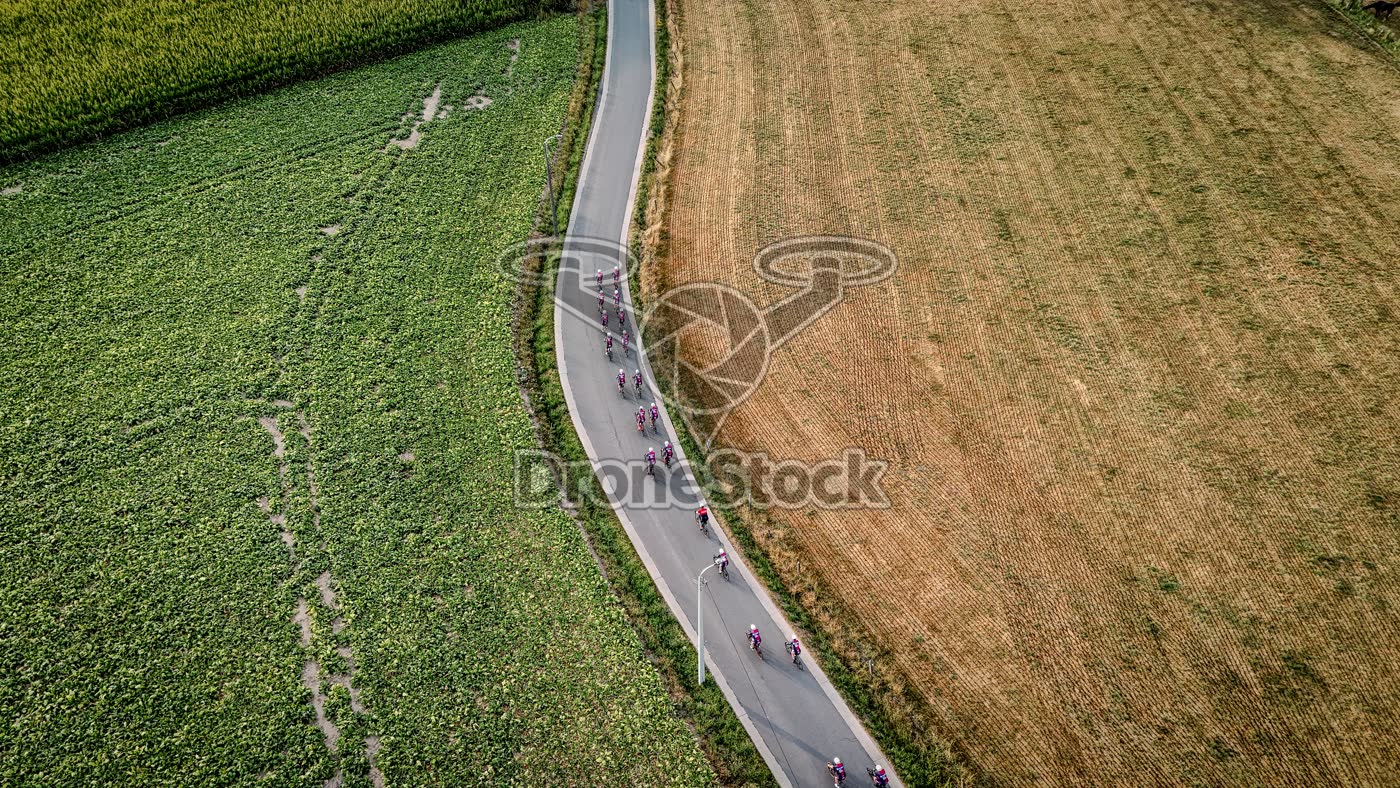 Wielrenners op landweg bij Oppuurs