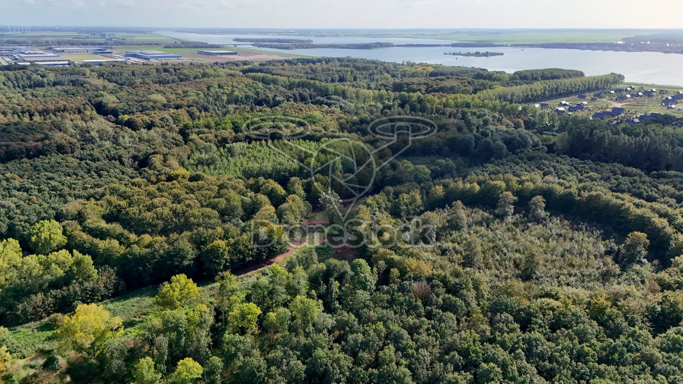 Bos bij Almere, Flevoland
