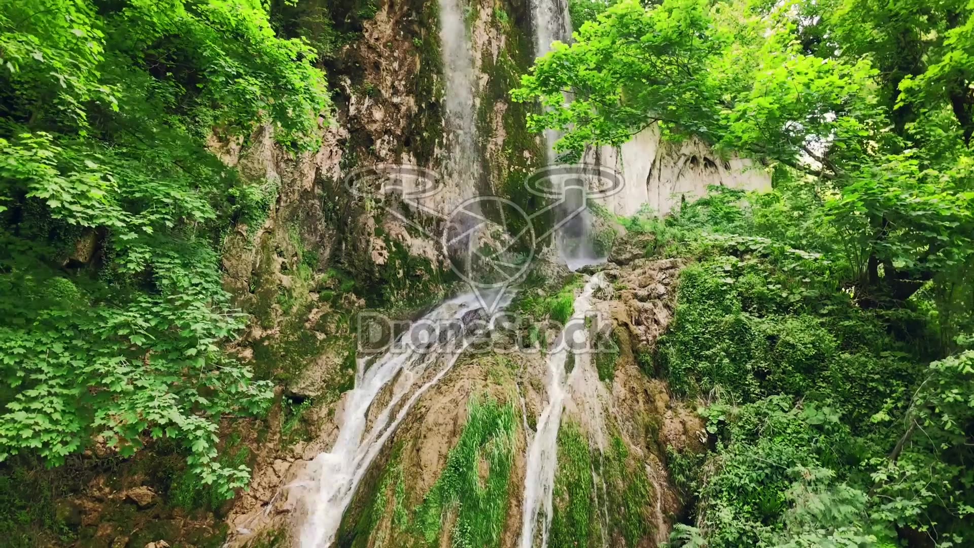 Waterval in weelderig bos