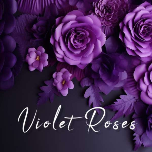 Violet Roses
