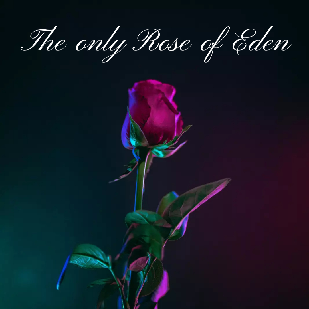 The only Rose of Eden