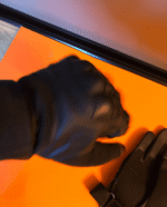 Рукавички тактичні із закритими пальцями, розмір M-XL, колір-чорний