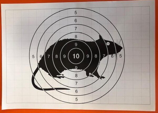Мішень паперова, розмір 21х27,5 см (алебарда та інше)