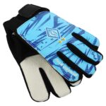 Рукавички воротарські DYNAMO KYIV, розмір 5-7