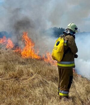 45f6cfe31a111e09ba65428d3e1d3cdf