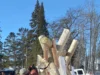 Сезон ловли осетров в озере Мичиган завершился через 48 минут после открытия