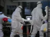 Вспышка вируса Нипах в Индии находится под пристальным наблюдением