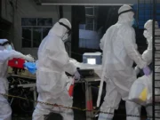 В Индии внимательно следят за вспышкой вируса Нипах
