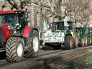 Тысячи фермеров protestуют против торгового соглашения ЕС и Меркусур в преддверии голосования