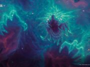 Доходы от Magic: The Gathering увеличились в прошлом году на значительную сумму