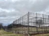 Уголовное правосудие — ключевая тема в законодательных собраниях штатов в этом году