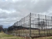 Уголовное правосудие остается приоритетной темой в государственных законодателях в этом году