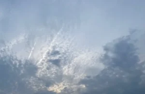 Нежное и спокойное начало недели