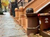 Нью-Йорк вводит обязательную программу компостирования с штрафами за несоблюдение от $25 до $300.