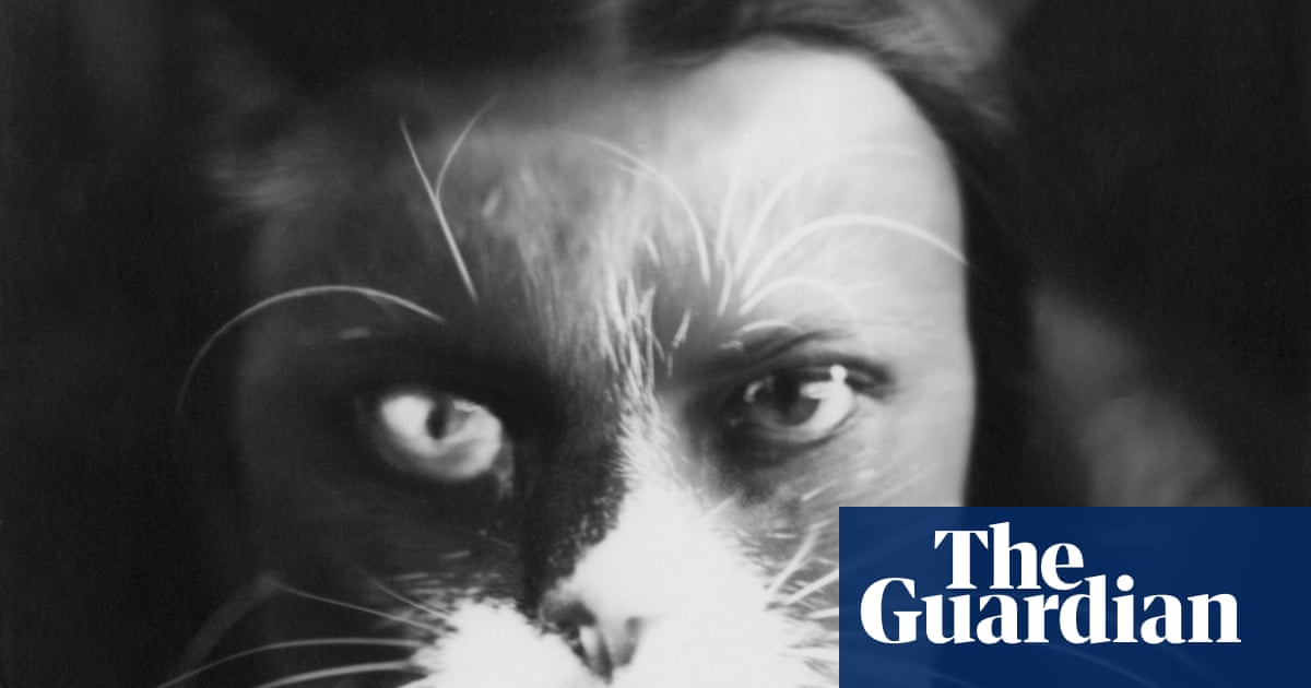 Кошка, которая сражалась с Муссолини: как сёстры-фотографы Вульц использовали семейного питомца как оружие
