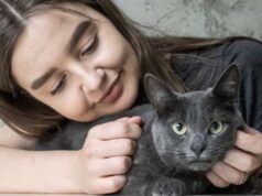 Кошки, подходящие для людей с аллергией