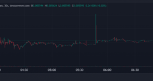 Trader verdient $202.000 mit Meme-Coin TOBI innerhalb weniger Minuten