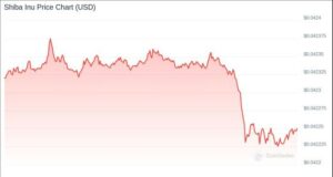 Krypto-Walzen entziehen Börsen 705 Milliarden SHIB: neue Prognosen für Shiba Inu