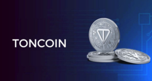 Nach der Verhaftung von Pavel Durov steigt das Interesse der Nutzer an Toncoin.