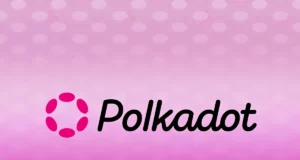 Gründer von Manta Network zweifelt an Wert von Polkadot