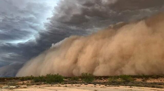 haboob